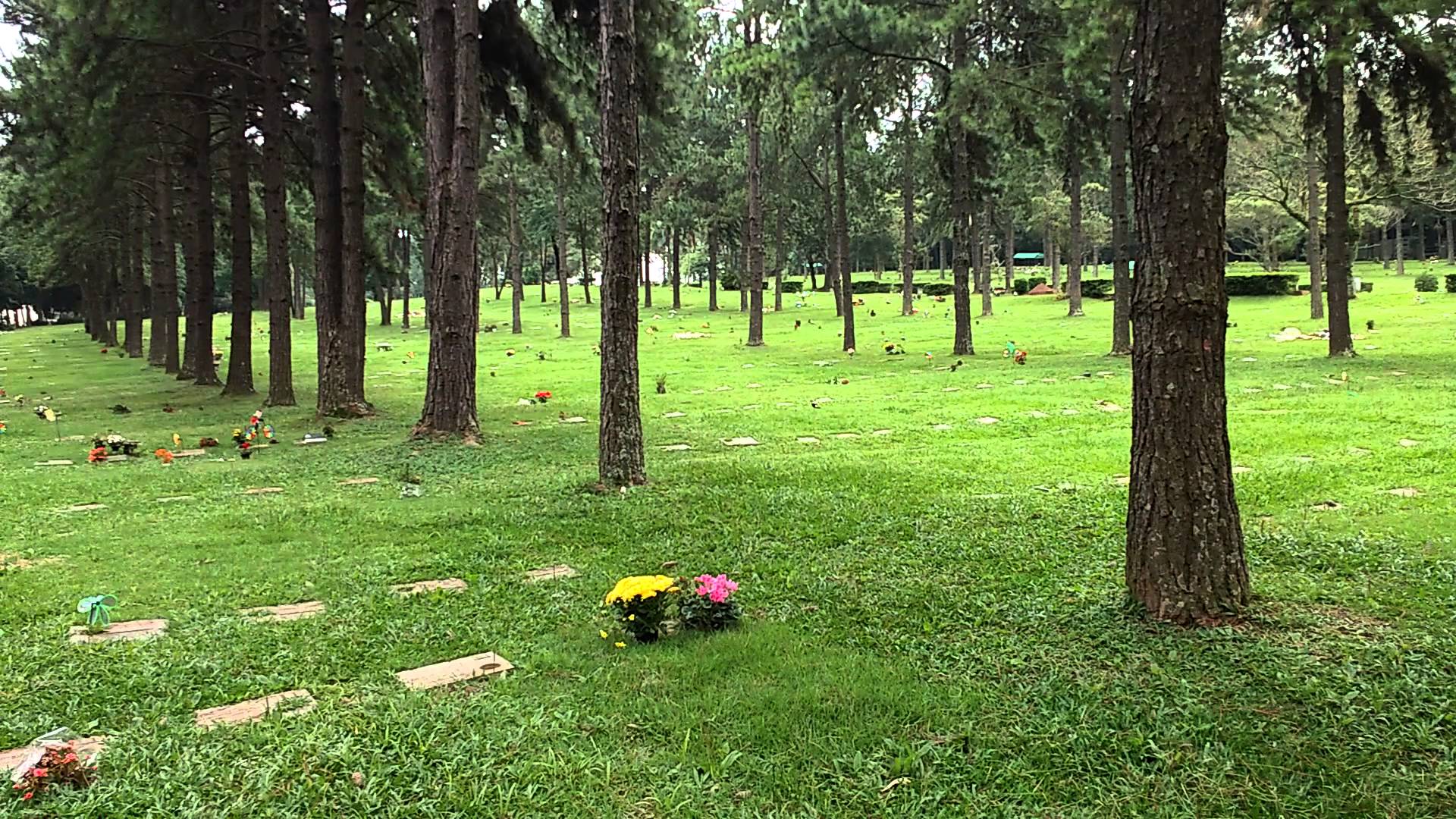 Cemitério Jardim da Colina | Coroas 24 Horas Curitiba