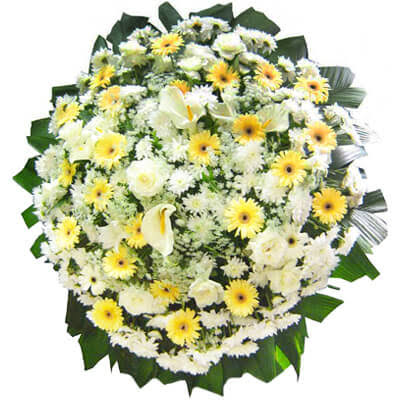 Coroa de Flores Maresias Litoral Norte | Floricultura Coroa de Flores 